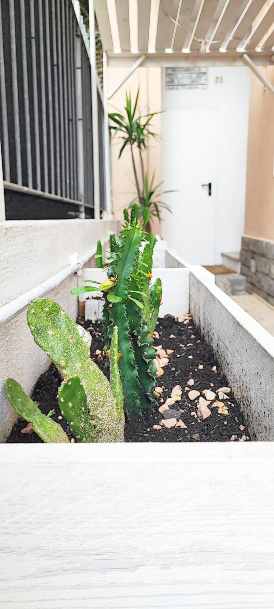 Residenza Bibliososta Apartment Ventimiglia Exterior foto