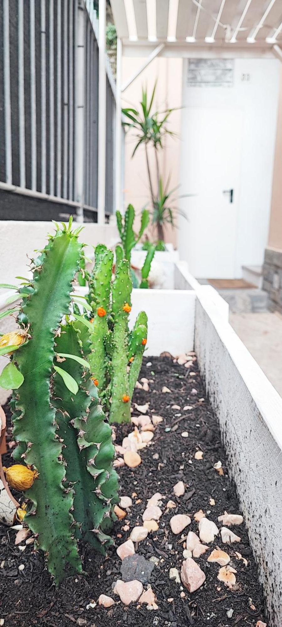 Residenza Bibliososta Apartment Ventimiglia Exterior foto